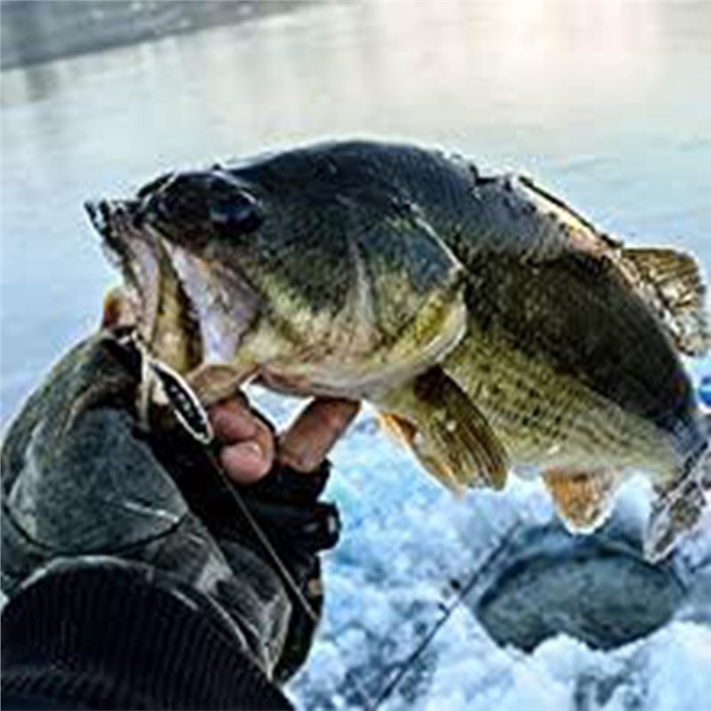 Fish Finder Transducer - ABLB-Kayak Boat Fishfinder Transducer Portable Fish