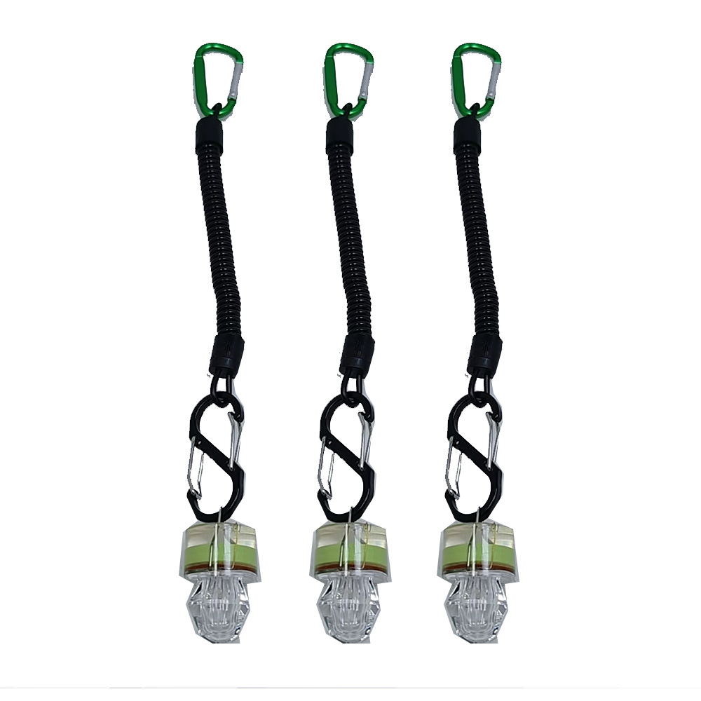 2-3PCS LED Fishing Lights With - Fish Alarm recension och pris